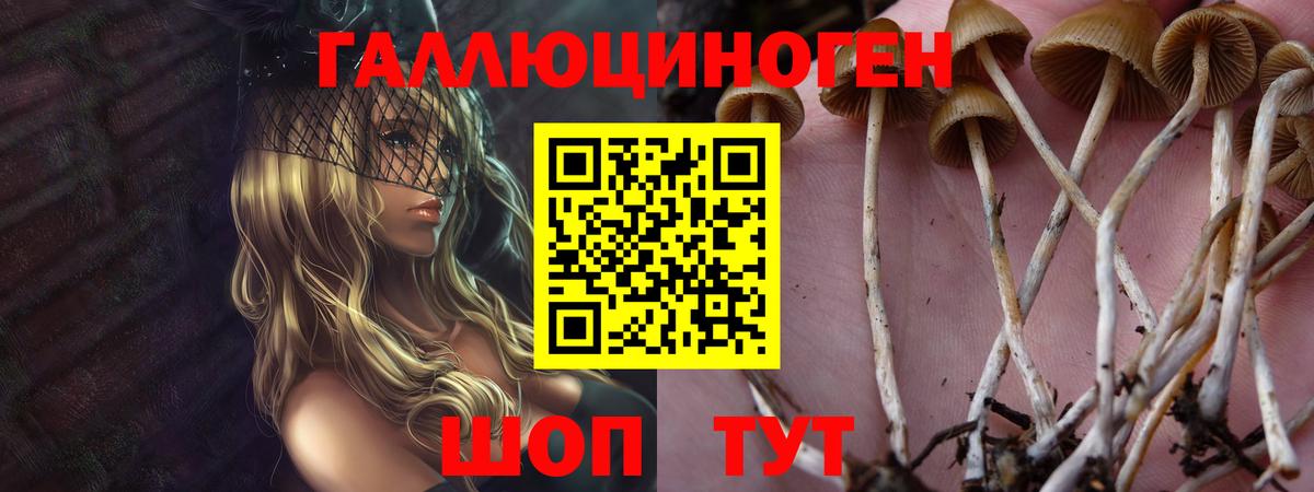 Псилоцибиновые грибы ЛСД Советск
